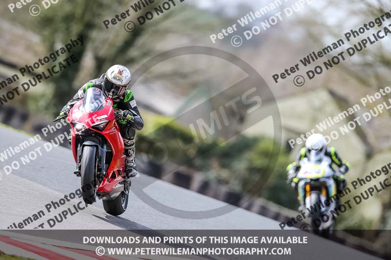 Oulton Park 21st March 2020;PJ Motorsport Photography 2020;anglesey;brands hatch;cadwell park;croft;donington park;enduro digital images;event digital images;eventdigitalimages;mallory;no limits;oulton park;peter wileman photography;racing digital images;silverstone;snetterton;trackday digital images;trackday photos;vmcc banbury run;welsh 2 day enduro